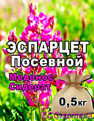 Насіння Еспарцет посівний 0,5 кг