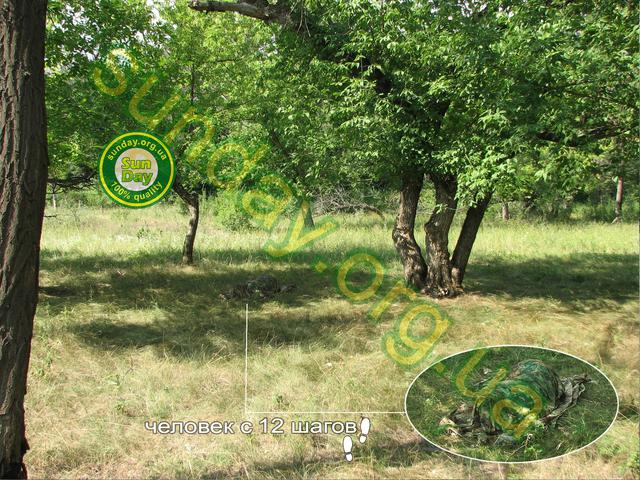 Антиблік сітка в польових умовах PenCott Green zone в реальних умовах