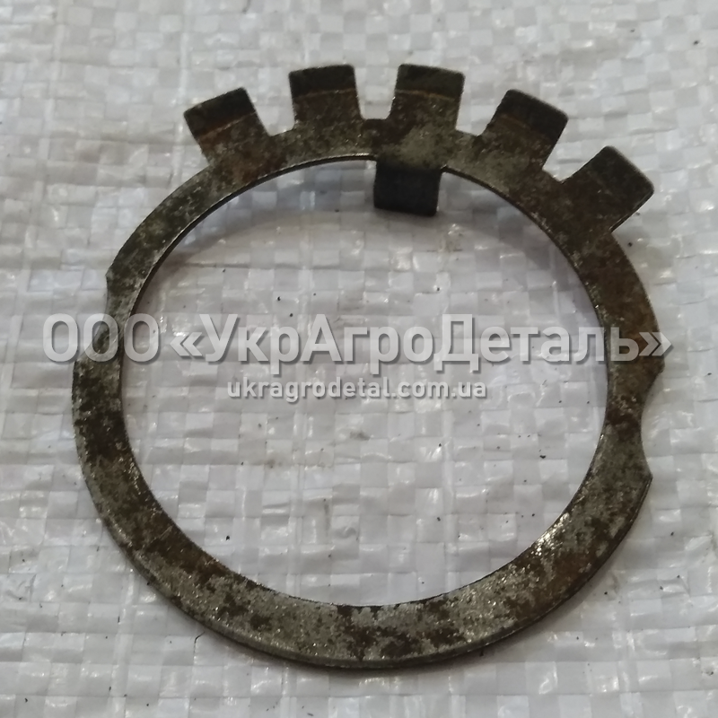 Шайба стопорна гайки вала ВВП ЮМЗ 36-4202033-А, фото 1