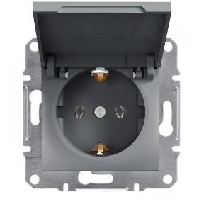 Розетка з ЗК і кришкою Сталь Asfora Schneider Electric, EPH3100162