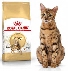 Royal Canin (Роял Канін) BENGAL ADULT Сухий корм для бенгальських котів старше 12 місяців, 10 кг