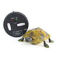 Интерактивная черепаха на пульте управления