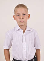 Рубашка белая с коротким рукавом 1-9 лет