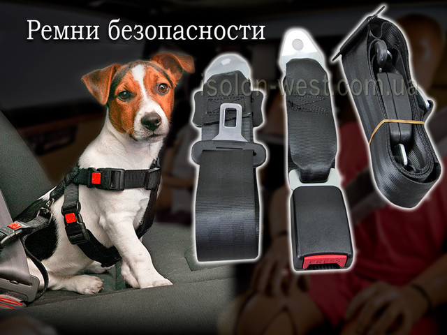 фото Ремні безпеки