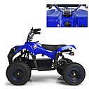 Дитячий електромобіль-квадроцикл PROFI HB-EATV 800 M-4 синій, мотор 800W, акумулятор 3*12v/12ah, швидкість 30 км/год, фото 3