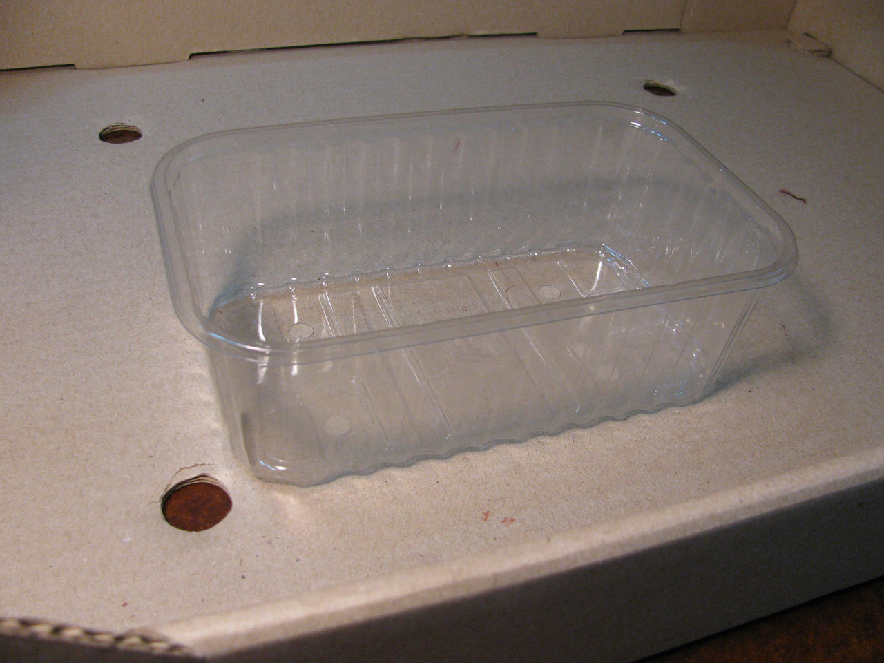 Пластиковий контейнер для ягід на 500 г. ягоди - фото 2 - id-p755810707