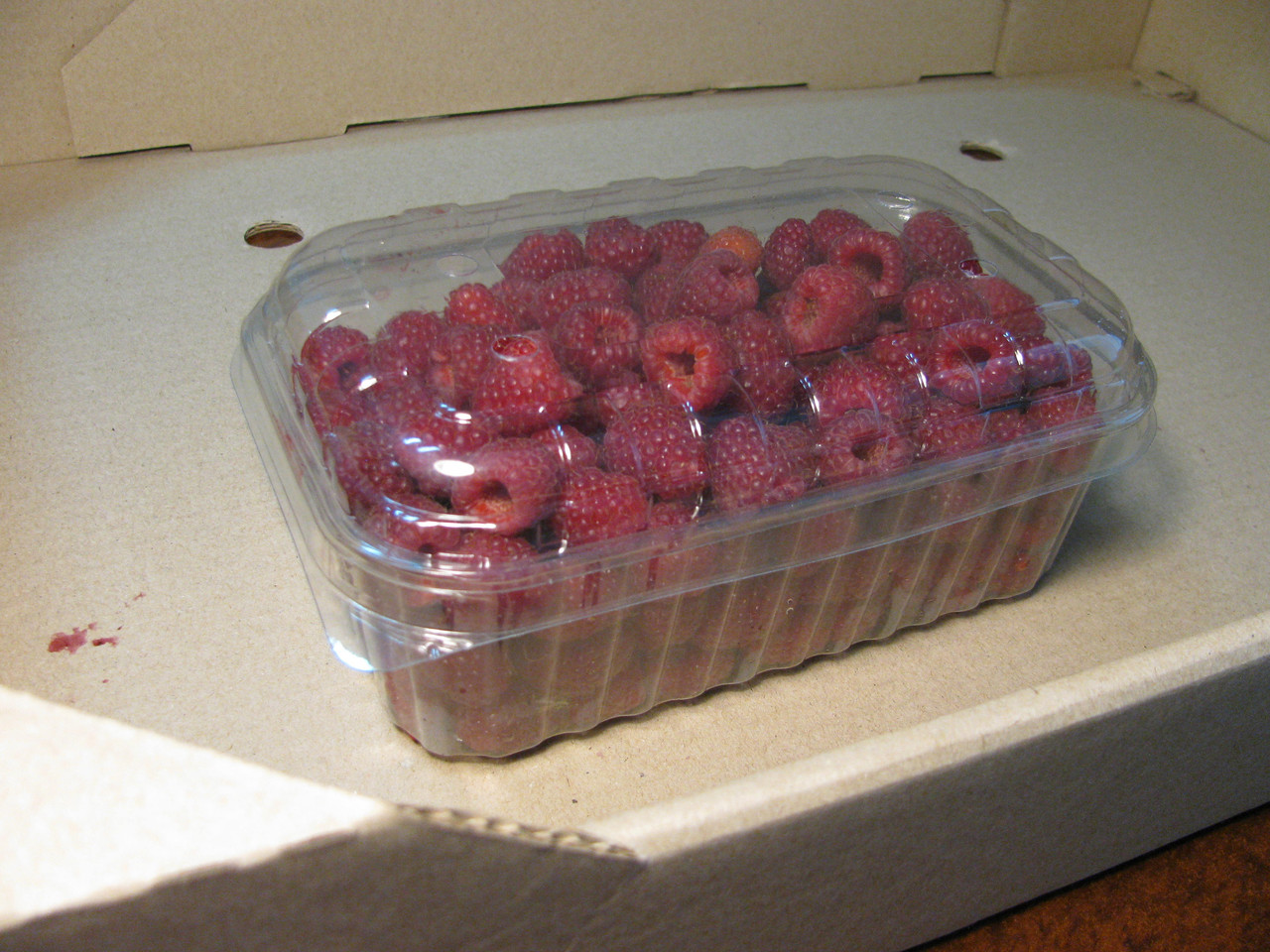 Пластиковий контейнер для малини на 500 г. ягоди - фото 3 - id-p755173913