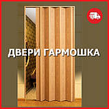 Міжкімнатні двері гармошка під будь-які розміри. Кольори на складі. Доставка, фото 2