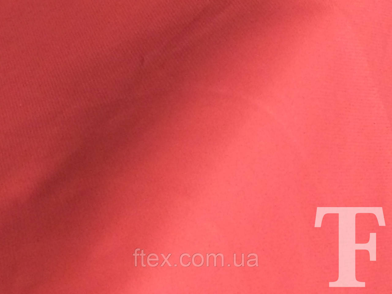 Плащівка Лаке (Кораловий), фото 1