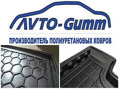 Килимки автомобільні Avto-Gumm