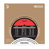 Струни для класичної гітари D'Addario EJ-47 N Normal Tension silver Pro Arte, фото 3
