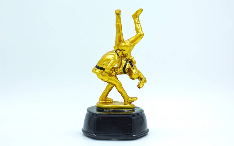 Награда спортивная самбо 3278-B5 (статуэтка наградная самбисты): 17,5х9х9см - фото 2 - id-p755626080