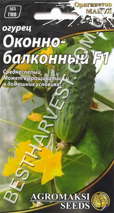 Насіння огірка «Віконно-балконний F1» 0.25 г, партенокарпічний, фото 1