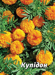 Насіння чорнобривців Купідон, 5 гр., золотисто-жовті, африканські
