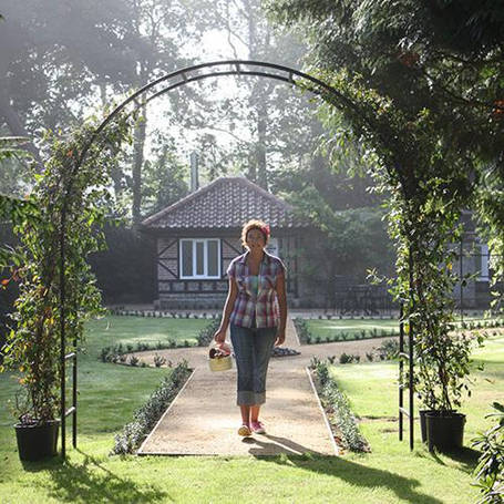 Арки та перголи