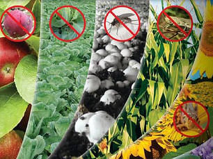 Інсектициди