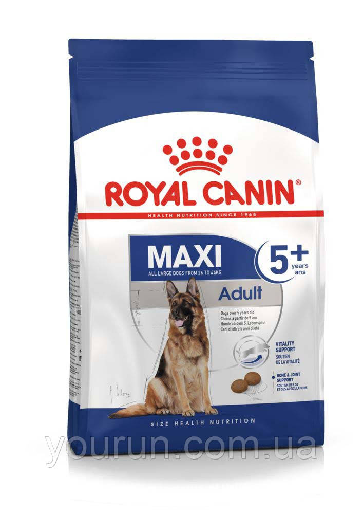 Royal Canin (Роял Канін) Maxi Adult 5+ - Сухий корм для собак великих порід старше 5 років 15 кг