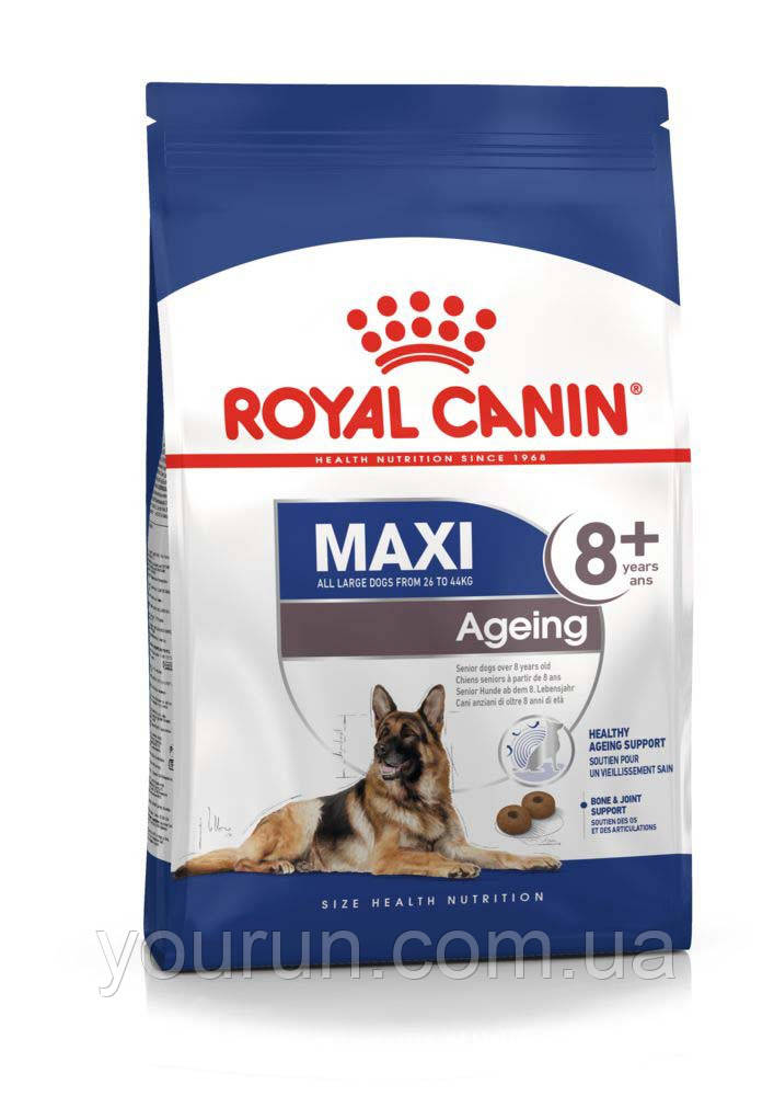 Royal Canin (Роял Канін) Maxi Ageing 8+ - Сухий корм для собак великих порід старше 8 років 3 кг