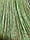 Триколірні штори нитки (серпанок) з люрексом, фото 4