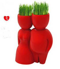 Трав'янчик керамічний червоний подвійний — пара стоїть
