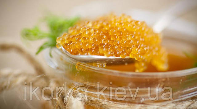 ікра щуки купити натуральну охолоджену ікру купити ікру щуки найкращі ціни з доставкою