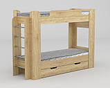 Двоярусне ліжко дитяче Твікс Компаніт 70х190 см дсп дуб-сонома, фото 6