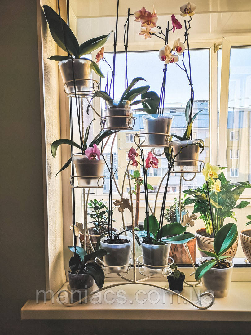 Азалія-2, підставка для квітів на 7 чаш, фото 1