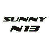 Nissan Sunny N13 (86-90)