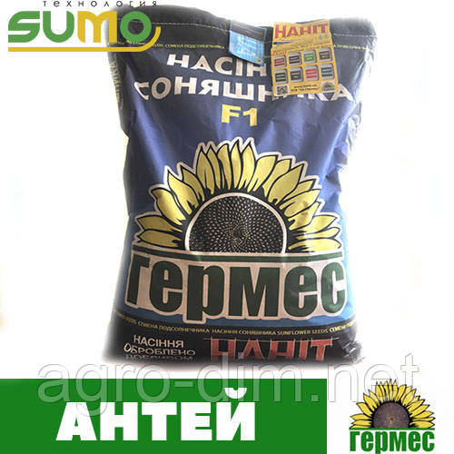 Насіння соняшника Антей +