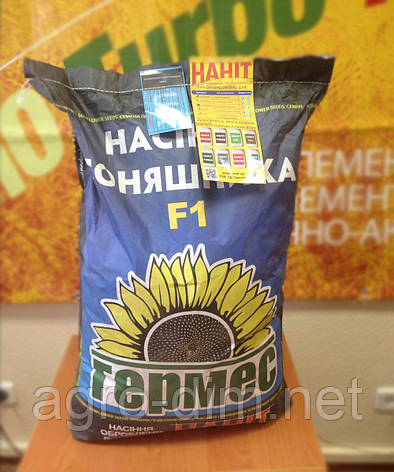 Насіння соняшника Гермес "МЕРКУРІЙ ОР6+", фото 2