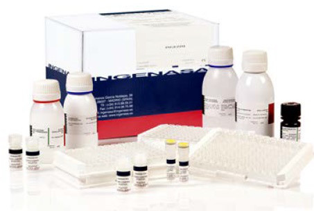 Ingezim PPA Das. Тест-система для діагностики специфічного антигену вірусу АЧС - фото 1 - id-p751649812