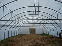 Пленочные теплицы туннельного типа для фермерских хозяйств