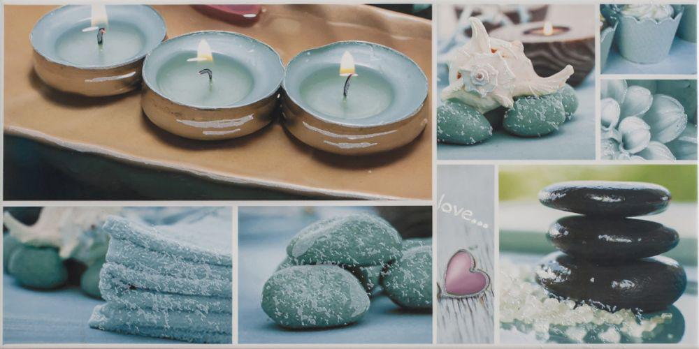 Декор Charlotte TRM 1 250*500