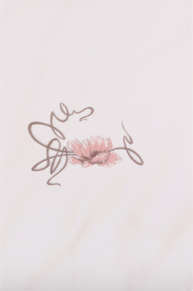 Декор Sana PN 200*300