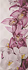 Плитка облицювальна Атем Sote Orchid 200*500