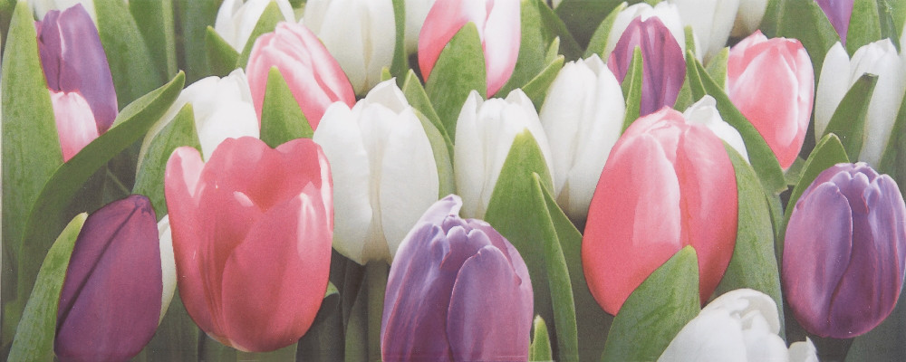 Плитка облицювальна Атем Tulip Mini PN 200*500