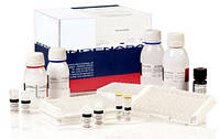Ingezim PPA Compac. Тест-система для серодіагностики специфічних антитіл до вірусу АЧС методом ІФА