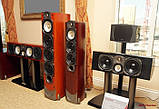 Акустична система Paradigm Reference Studio 60 v.5, Hi-End FloorStanding Loudspeaker Black Ash, фото 5