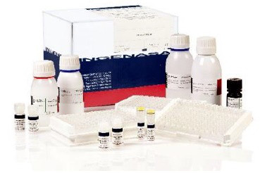 Ingezim IBR. Тест-система для діагностики специфічних антитіл до пестівірусу ВРХ в сироватці крові методом ІФА - фото 1 - id-p751382435