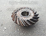 Шестерня 131-2402060-Б ведена конічна редуктора ЗІЛ 131, фото 2
