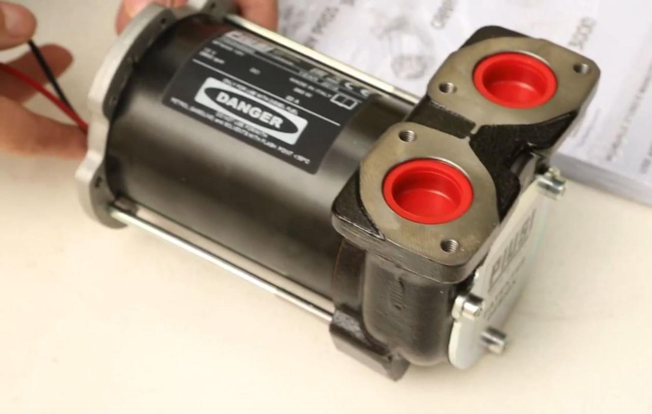 Насос Piusi BP3000 INLINE 12V