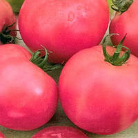 Ляна розовая F1 (5 г) семена томата Элитный Ряд