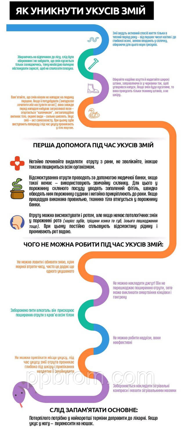 як не бути укушеним змією | Як надати першу допомогу при укусах гадюк