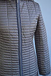 Жіноча демісезонна куртка Snowimage M, L, XL, XXL, весна-осінь, фото 3