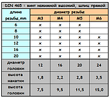 DIN 465 : гвинт натискний високий з прямим шліцом, нержавіюча сталь А2 (AISI 304), фото 3