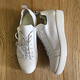 Кроссовки Calvin Klein Nibbs open knit / Calf Leather White, фото 5