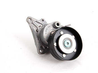 Ролик натягувача ременя компресора двигуна M113 Mercedes (Мерседес) A1132000170