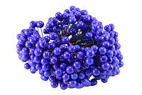 Калина, ягоди