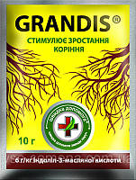 Корневин Грандис 10 г, GRANDIS