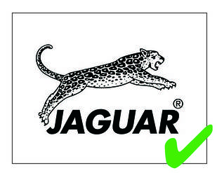 Перукарські ножиці Jaguar (Ягуар)